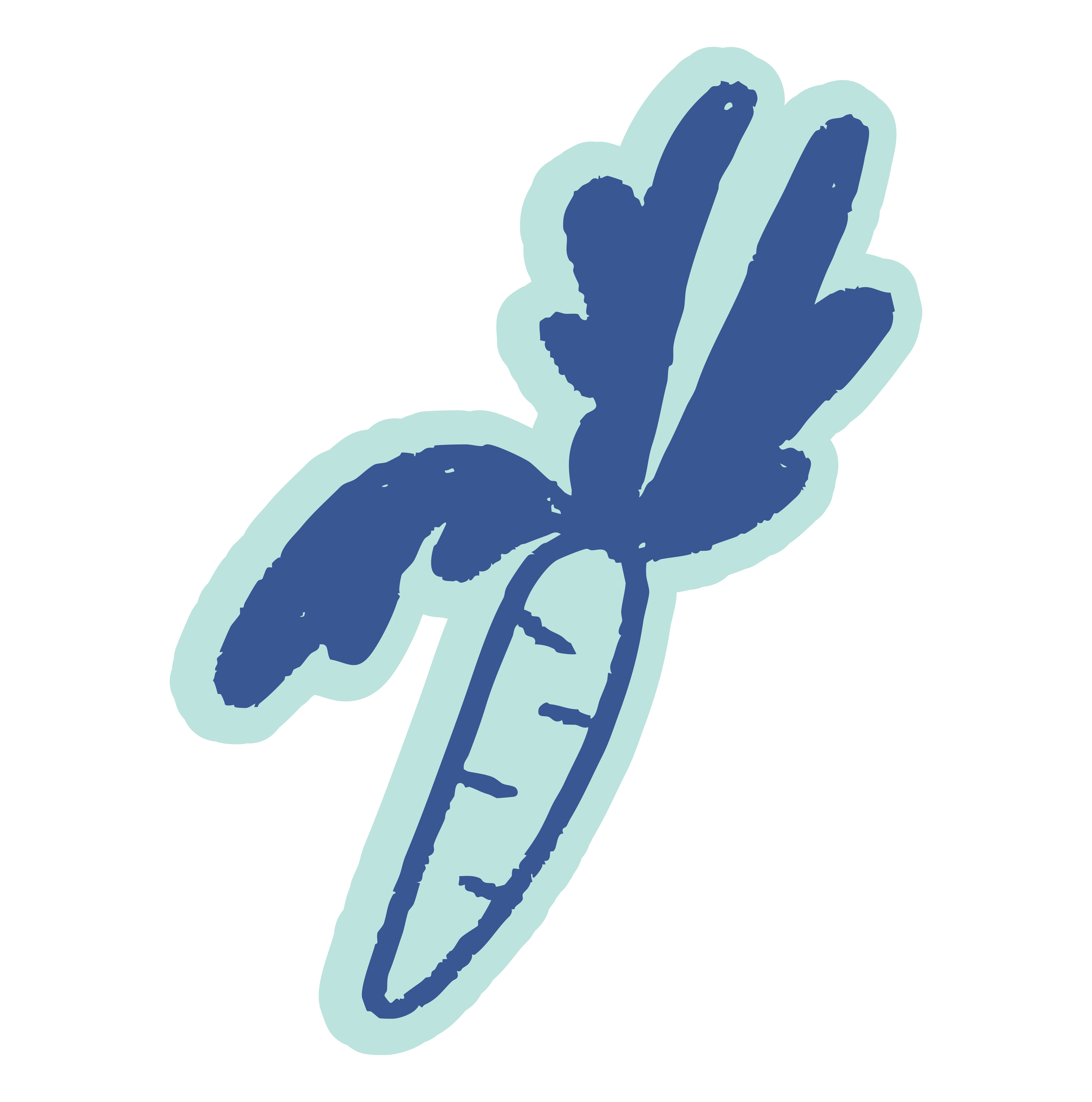 Carrot graphic